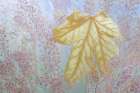 USA, Washington State, Seabeck. Fallen bigleaf maple leaf close-up. Art Print